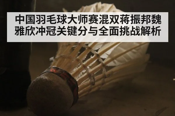 中国羽毛球大师赛混双蒋振邦魏雅欣冲冠关键分与全面挑战解析 | kaiyun